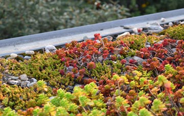 the cost of Preesall green roof installation