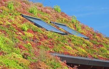 Preesall living roof systems